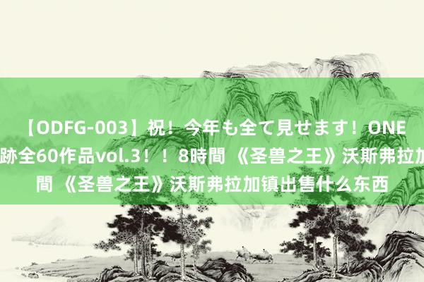 【ODFG-003】祝！今年も全て見せます！ONEDAFULL1年の軌跡全60作品vol.3！！8時間 《圣兽之王》沃斯弗拉加镇出售什么东西