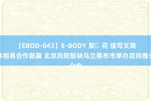 【EBOD-043】E-BODY 梨々花 续写文商旅体相易合作新篇 北京向阳联袂乌兰察布市举办双向推介会