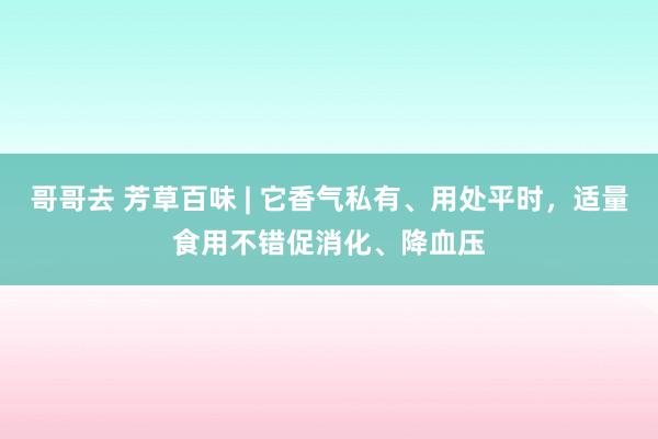 哥哥去 芳草百味 | 它香气私有、用处平时，适量食用不错促消化、降血压