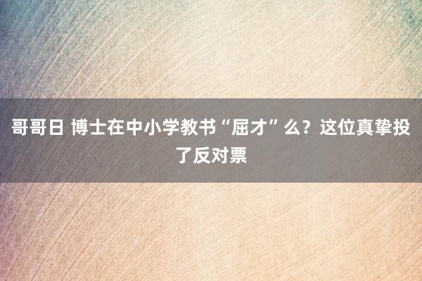 哥哥日 博士在中小学教书“屈才”么？这位真挚投了反对票