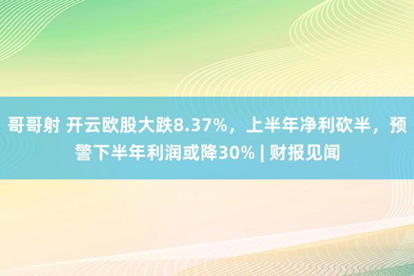 哥哥射 开云欧股大跌8.37%，上半年净利砍半，<a href=