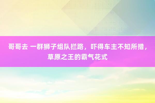 哥哥去 一群狮子组队拦路，吓得车主不知所措，草原之王的霸气花式