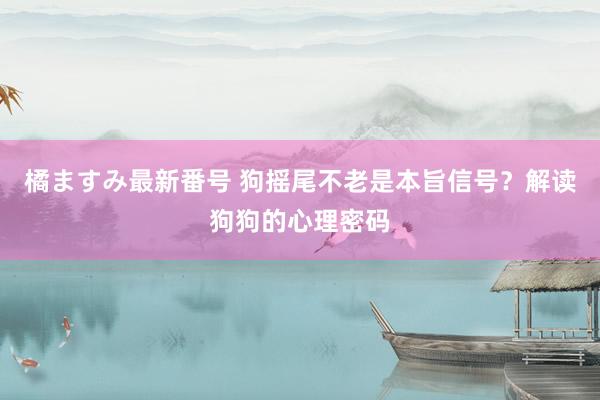 橘ますみ最新番号 狗摇尾不老是本旨信号？解读狗狗的心理密码