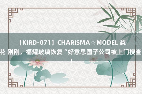 【KIRD-071】CHARISMA☆MODEL 梨々花 刚刚，福耀玻璃恢复“好意思国子公司被上门搜查”！