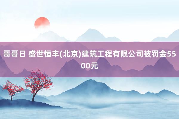 哥哥日 盛世恒丰(北京)建筑工程有限公司被罚金5500元