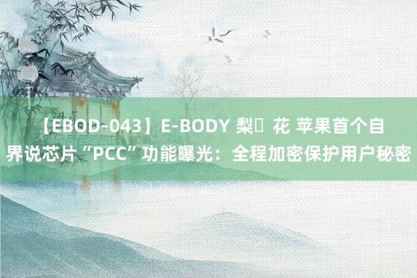 【EBOD-043】E-BODY 梨々花 苹果首个自界说芯片“PCC”功能曝光：全程加密保护用户秘密