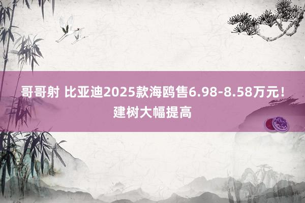 哥哥射 比亚迪2025款海鸥售6.98-8.58万元！建树大幅提高