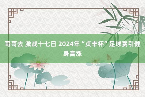 哥哥去 激战十七日 2024年“贞丰杯”足球赛引健身高涨