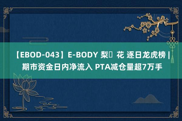 【EBOD-043】E-BODY 梨々花 逐日龙虎榜 | 期市资金日内净流入 PTA减仓量超7万手