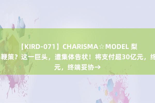 【KIRD-071】CHARISMA☆MODEL 梨々花 误导鞭策？这一巨头，遭集体告状！将支付超30亿元，终端妥协→