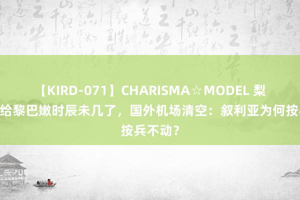 【KIRD-071】CHARISMA☆MODEL 梨々花 留给黎巴嫩时辰未几了，国外机场清空：叙利亚为何按兵不动？