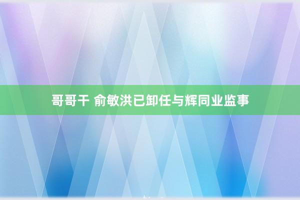 哥哥干 俞敏洪已卸任与辉同业监事