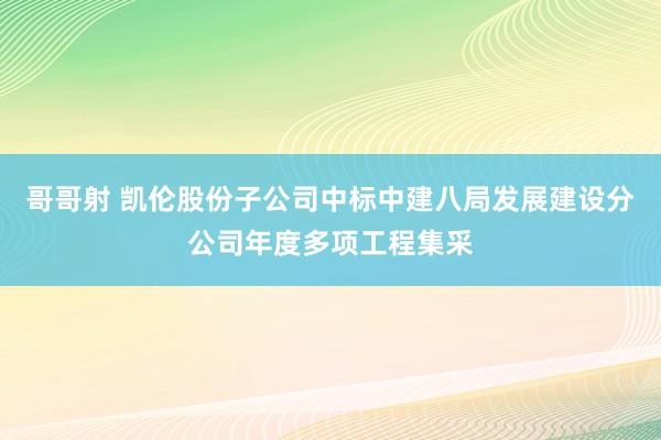 哥哥射 凯伦股份子公司中标中建八局发展建设分公司年度多项工程集采