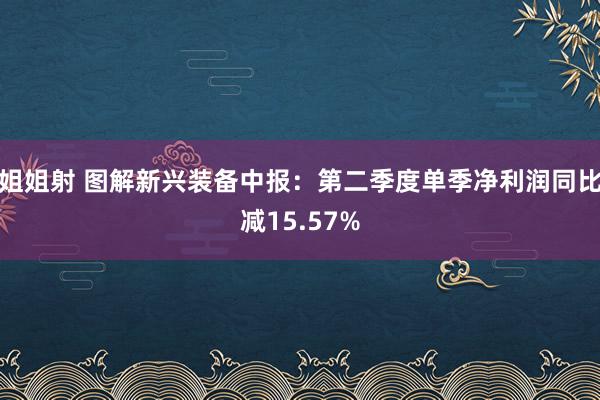 姐姐射 图解新兴装备中报：第二季度单季净利润同比减15.57%