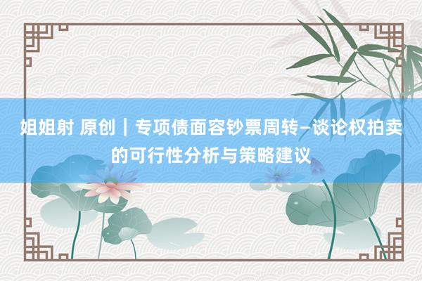 姐姐射 原创｜专项债面容钞票周转—谈论权拍卖的可行性分析与策略建议