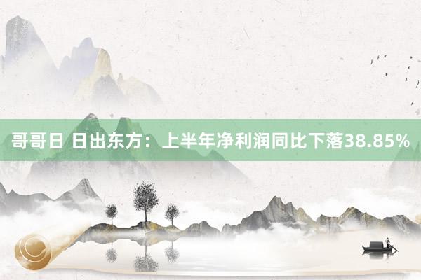 哥哥日 日出东方：上半年净利润同比下落38.85%