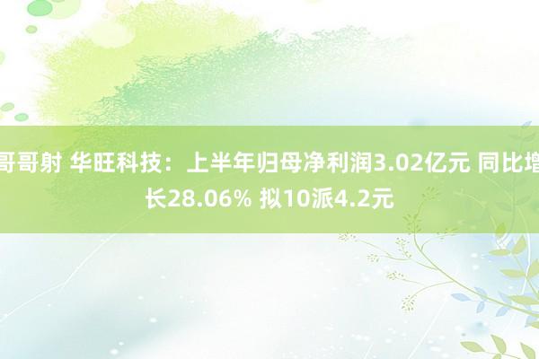 哥哥射 华旺科技：上半年归母净利润3.02亿元 同比增长28.06% 拟10派4.2元