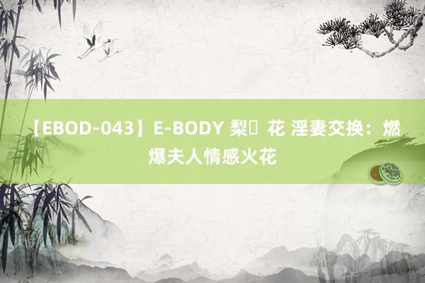 【EBOD-043】E-BODY 梨々花 淫妻交换：燃爆夫人情感火花