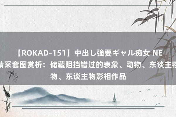 【ROKAD-151】中出し強要ギャル痴女 NEO 4時間 精采套图赏析：储藏阻挡错过的表象、动物、东谈主物影相作品