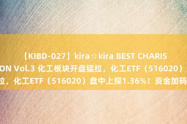 【KIBD-027】kira☆kira BEST CHARISMA☆MODEL☆COLLECTION Vol.3 化工板块开盘猛拉，化工ETF（516020）盘中上探1.36%！资金加码不竭！