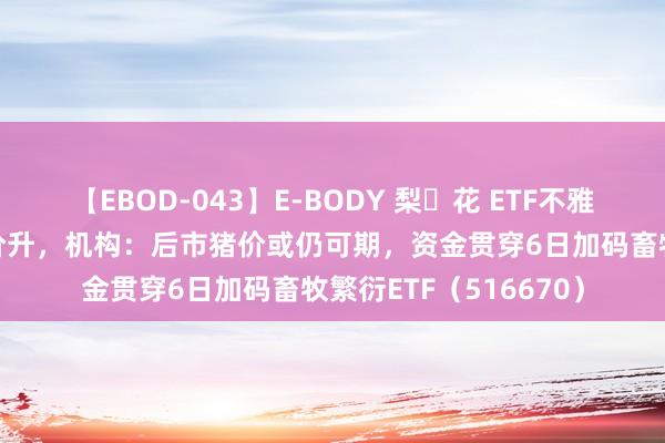 【EBOD-043】E-BODY 梨々花 ETF不雅察|7月猪企销售量增价升，机构：后市猪价或仍可期，资金贯穿6日加码畜牧繁衍ETF（516670）