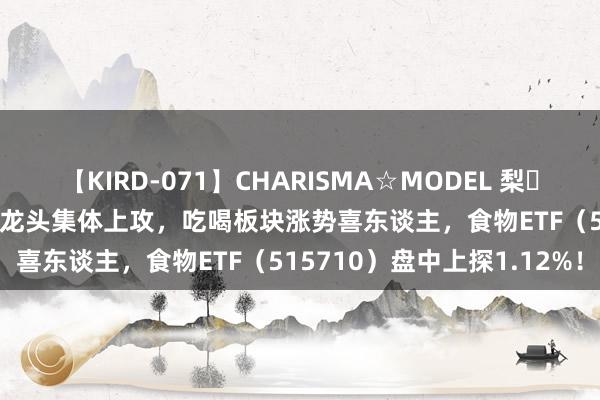 【KIRD-071】CHARISMA☆MODEL 梨々花 食物ETF盘中资讯|白酒龙头集体上攻，吃喝板块涨势喜东谈主，食物ETF（515710）盘中上探1.12%！