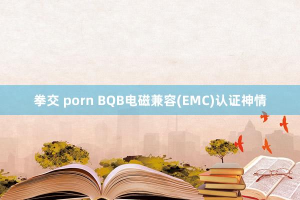 拳交 porn BQB电磁兼容(EMC)认证神情