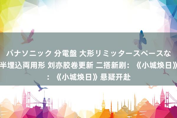 パナソニック 分電盤 大形リミッタースペースなし 露出・半埋込両用形 刘亦胶卷更新 二搭新剧：《小城焕日》悬疑开赴