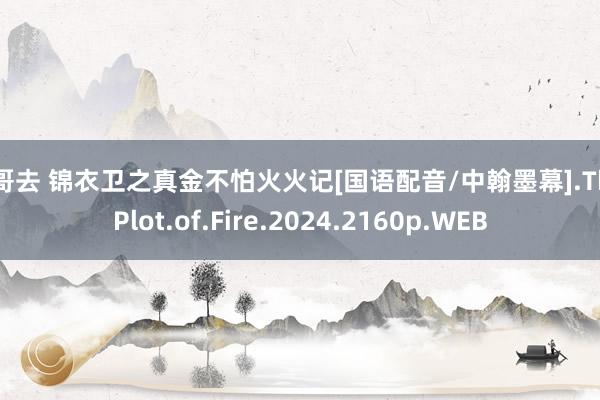 哥哥去 锦衣卫之真金不怕火火记[国语配音/中翰墨幕].The.Plot.of.Fire.2024.2160p.WEB