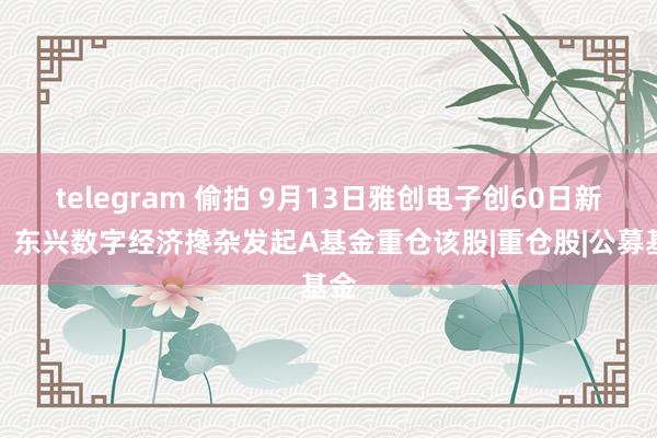 telegram 偷拍 9月13日雅创电子创60日新低，东兴数字经济搀杂发起A基金重仓该股|重仓股|公募基金