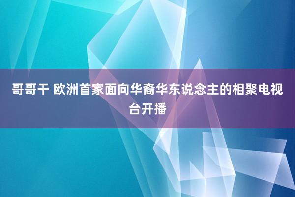 哥哥干 欧洲首家面向华裔华东说念主的相聚电视台开播