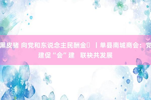 黑皮猪 向党和东说念主民酬金⑬丨单县南城商会：党建促“会”建   联袂共发展