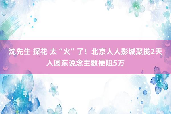 沈先生 探花 太“火”了！北京人人影城聚拢2天入园东说念主数梗阻5万