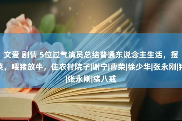 文爱 剧情 5位过气演员总结普通东说念主生活，摆摊卖菜，喂猪放牛，住农村院子|谢宁|曹荣|徐少华|张永刚|猪八戒