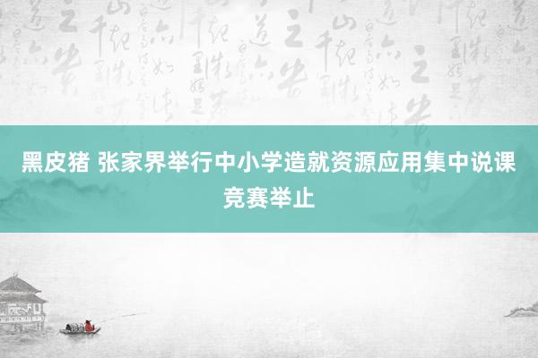 黑皮猪 张家界举行中小学造就资源应用集中说课竞赛举止