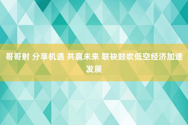 哥哥射 分享机遇 共赢未来 联袂鼓吹低空经济加速发展