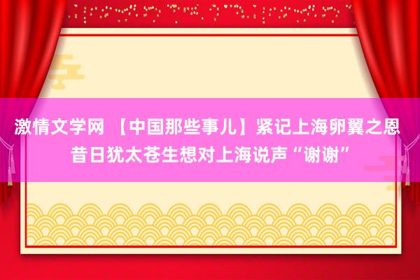 激情文学网 【中国那些事儿】紧记上海卵翼之恩 昔日犹太苍生想对上海说声“谢谢”